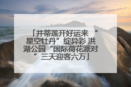 并蒂莲开好运来 “星空牡丹”绽异彩 洪湖公园“国际荷花派对”三天迎客六万